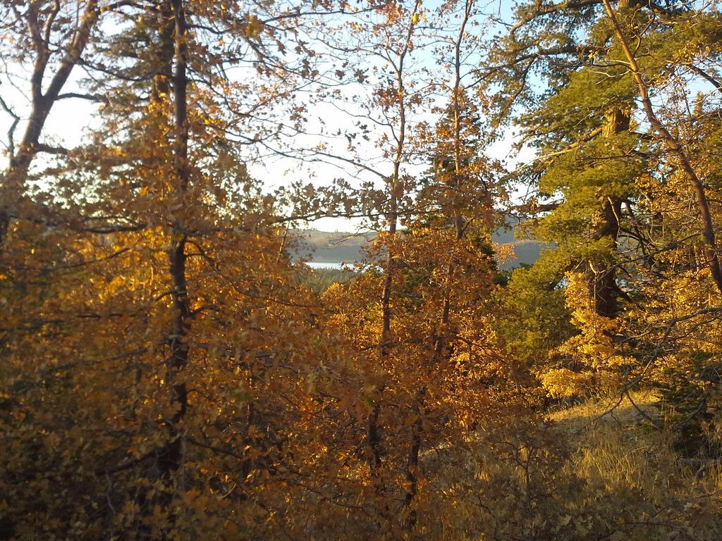 Hillcrest Suites & Cabins Big Bear Lake Exteriör bild