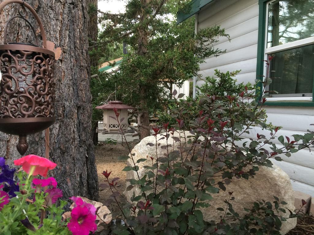 Hillcrest Suites & Cabins Big Bear Lake Exteriör bild